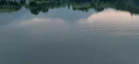 今天开挂了,安顺最新发展消息