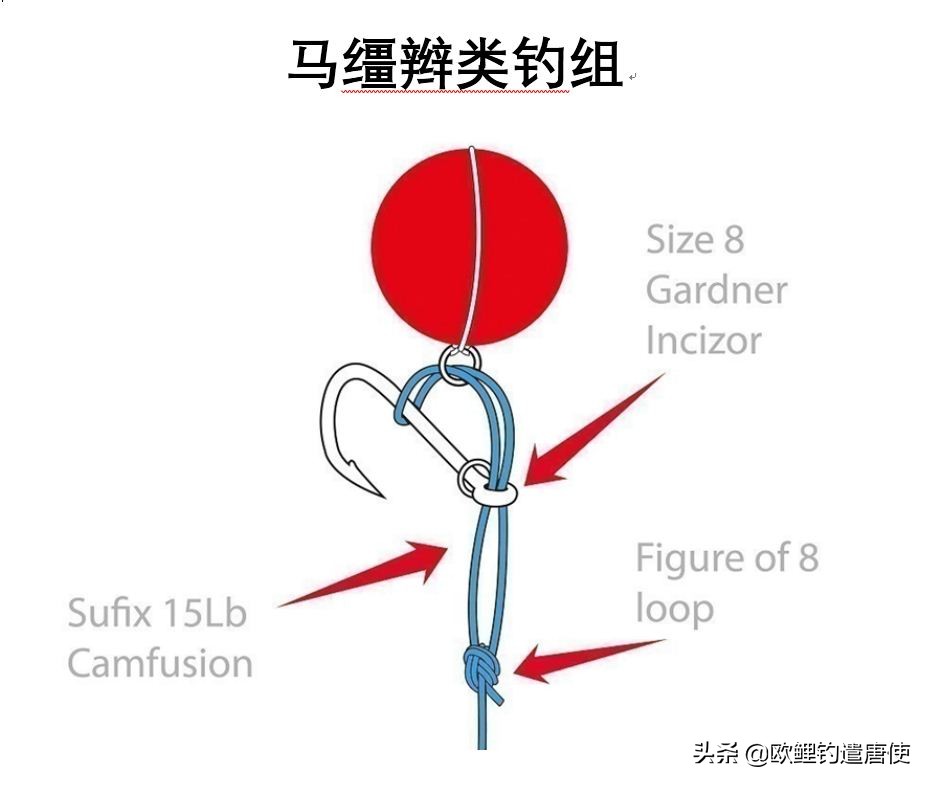 为什么鲤鱼比鲫鱼难钓,为什么鲫鱼这么难咬钩