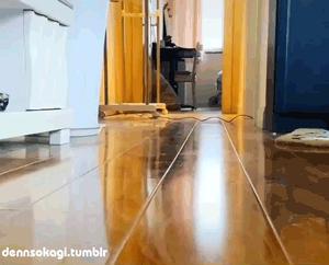 橘猫被抓警察局,肥猫被警察带走判刑