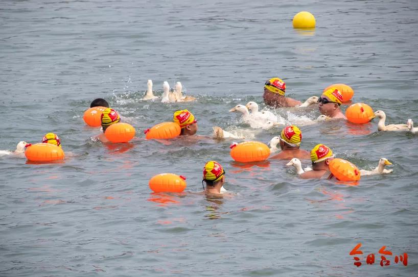 重庆最精彩划龙舟比赛,重庆的端午划龙舟比赛是几号