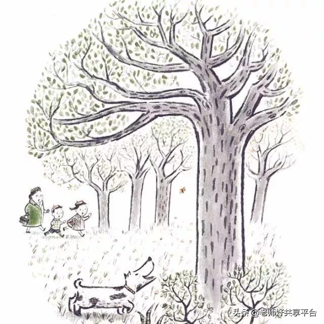 老师好睡前故事｜《哈利的花毛衣》