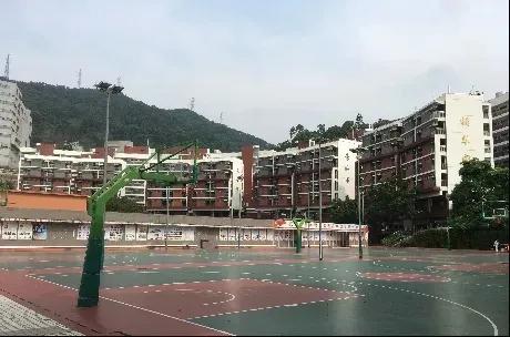 深圳红岭深康学校中考,深圳红岭中学深康学校中考成绩