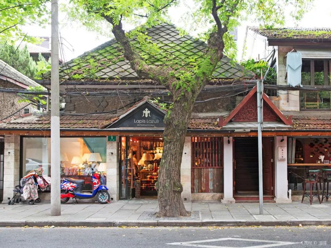 上海十大网红马路,魔都网红一条街