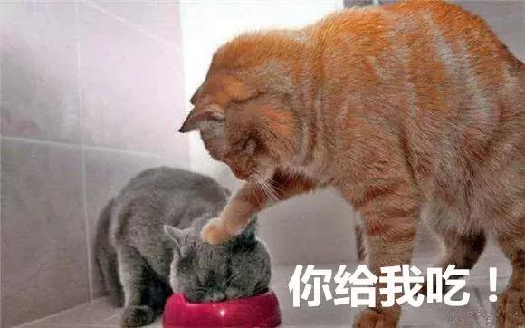 小孩生病治愈后吃什么,孩子生病了吃什么快速恢复体力