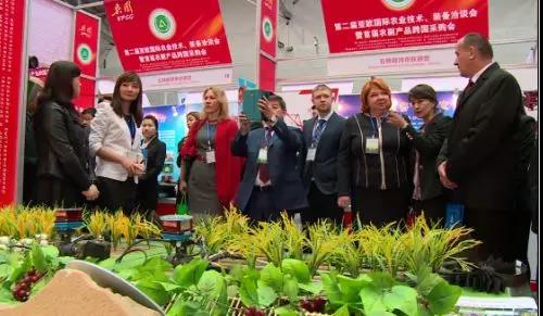 华和国际商务咨询机构展会业务详解篇