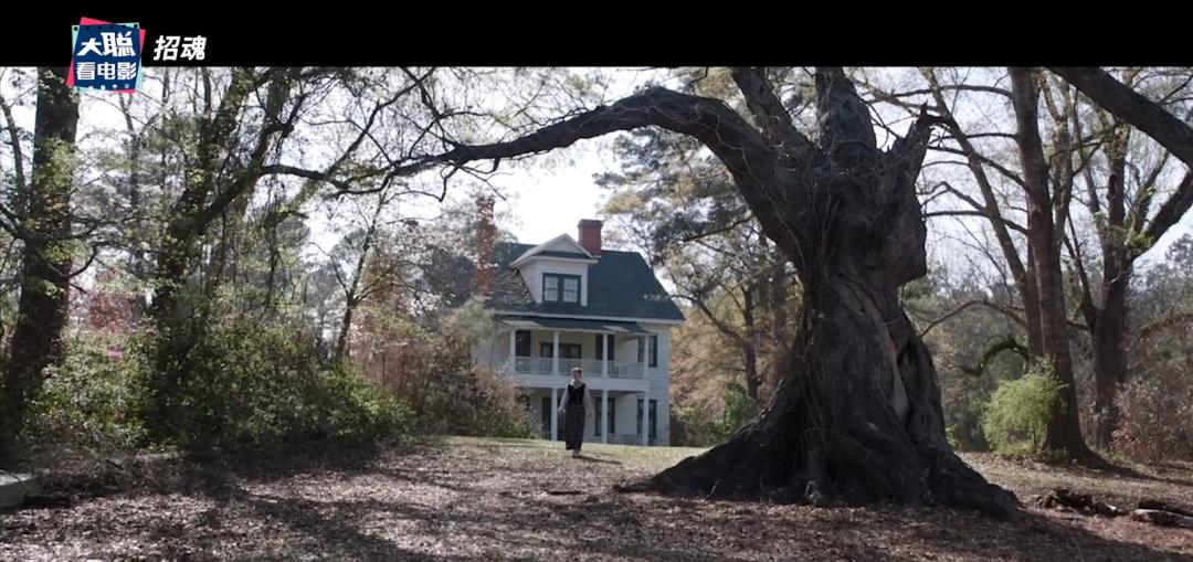招魂一和招魂二招魂三,招魂一招魂二招魂三剧情