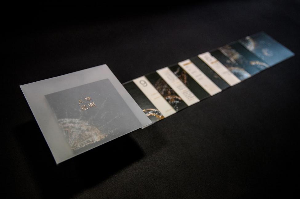 2020年INNODESIGNPRIZE大赛平面设计获奖