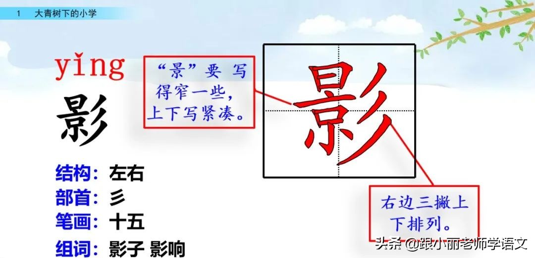 大青树下的小学重要背诵内容,大青树下的小学重点知识点