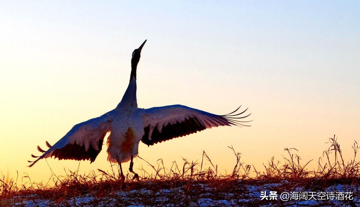 事出反常必为妖存在即合理,不可理喻事出反常必有妖
