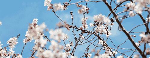 春季减肥最快最有效喝什么,当季减肥最有效的方法