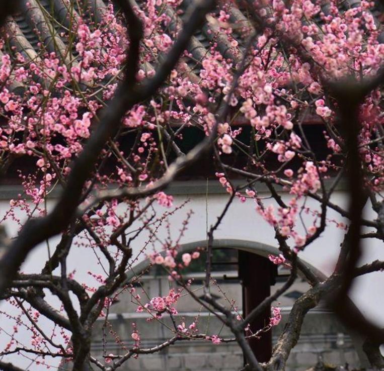 2024年几点钟进入立春节气,哪一年的立春节气是2月3日