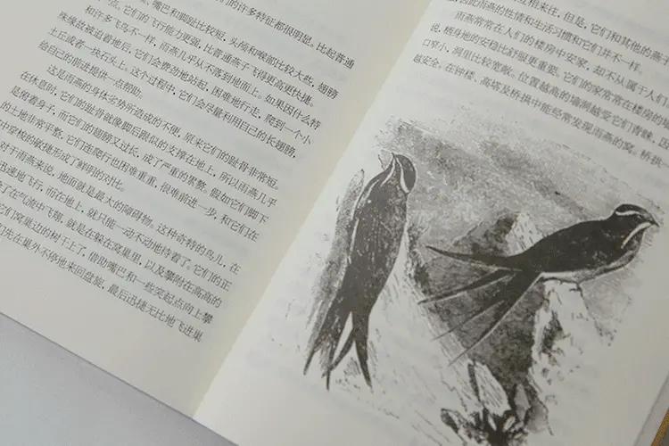 小学语文课外必读推荐,小学语文四年级必读课外阅读