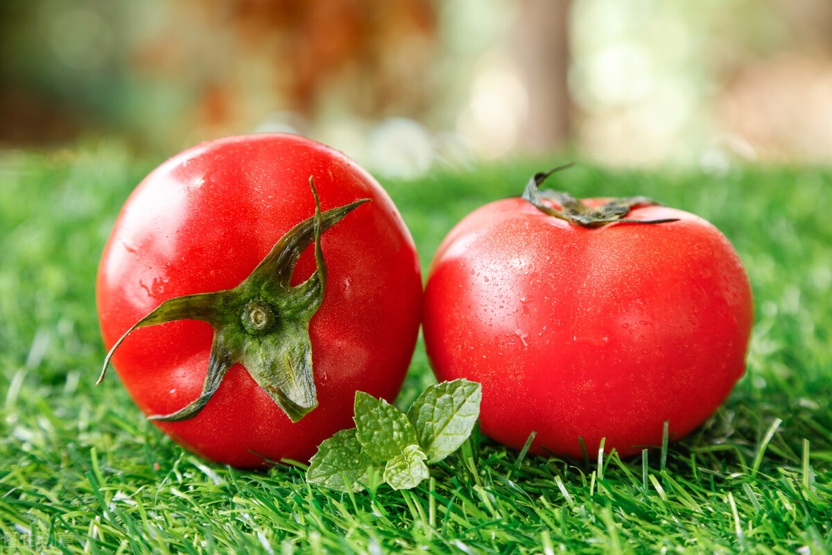 海底捞哪个底料最好,海底捞33元的底料