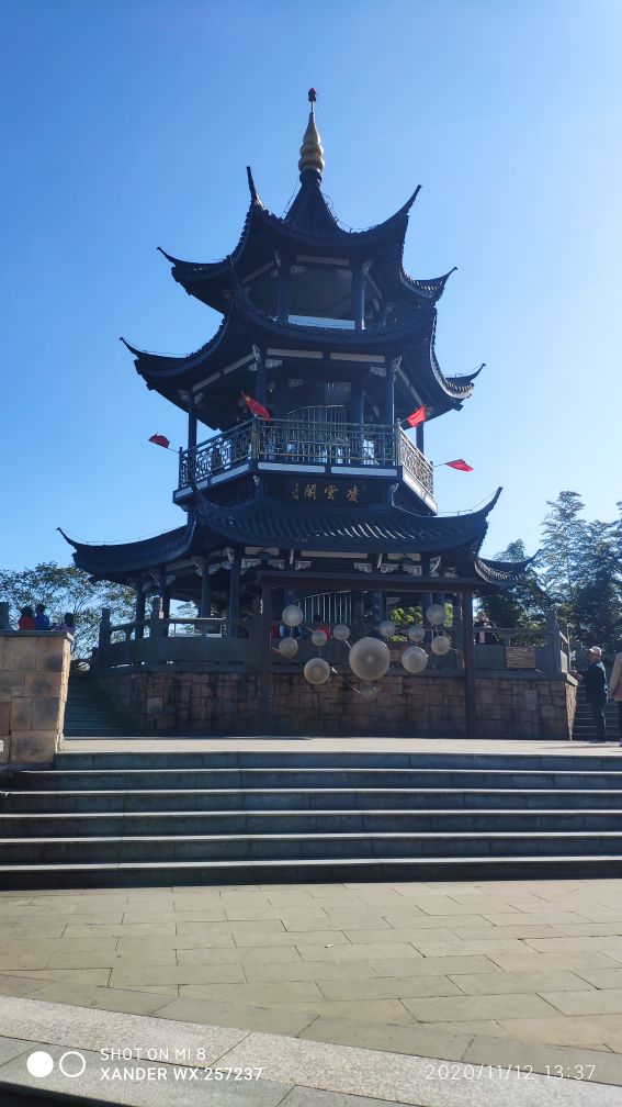 宜兴竹海十一月金色素材图片