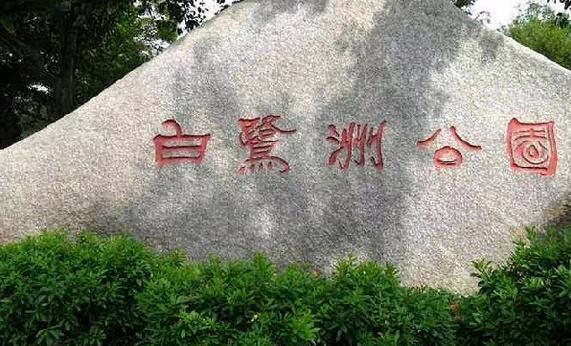 鸽群飞翔，厦门最大的全开放广场公园