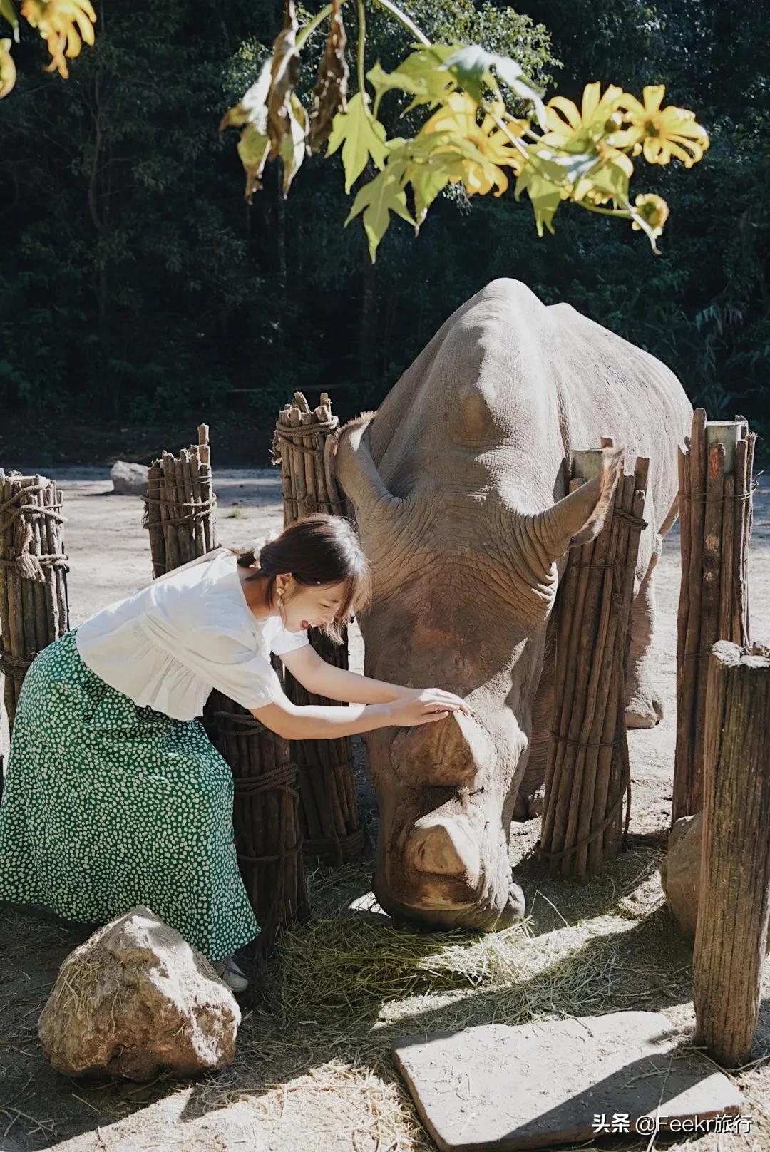 被刘昊然种草的云南小城，全网0攻略，我们花不到2k就逛吃6天