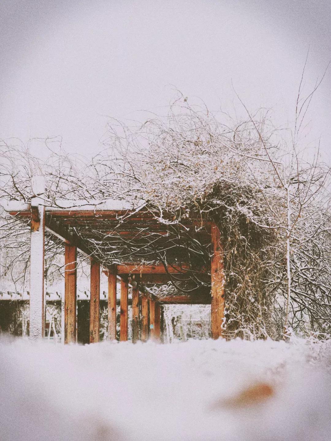 天津市普通高等院校（三）天津师范大学