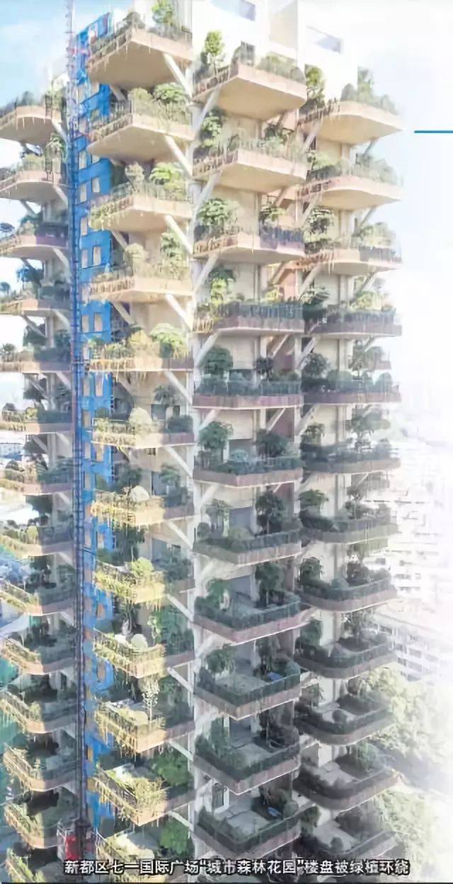 一周全球新闻大事件,一周内国内外大事件