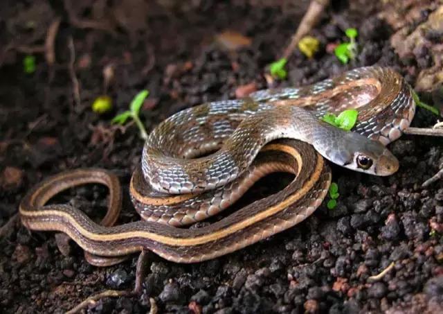 娆洪獥浣犲骞寸殑灏忕煡璇嗙粓浜庢壘鍏ㄤ簡,閭ｄ簺楠楄繃鎴戜滑鐨勫皬甯歌瘑