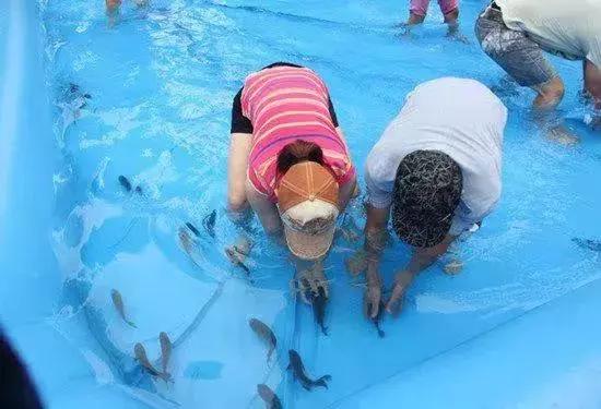 今日石狮,石狮今天的新消息