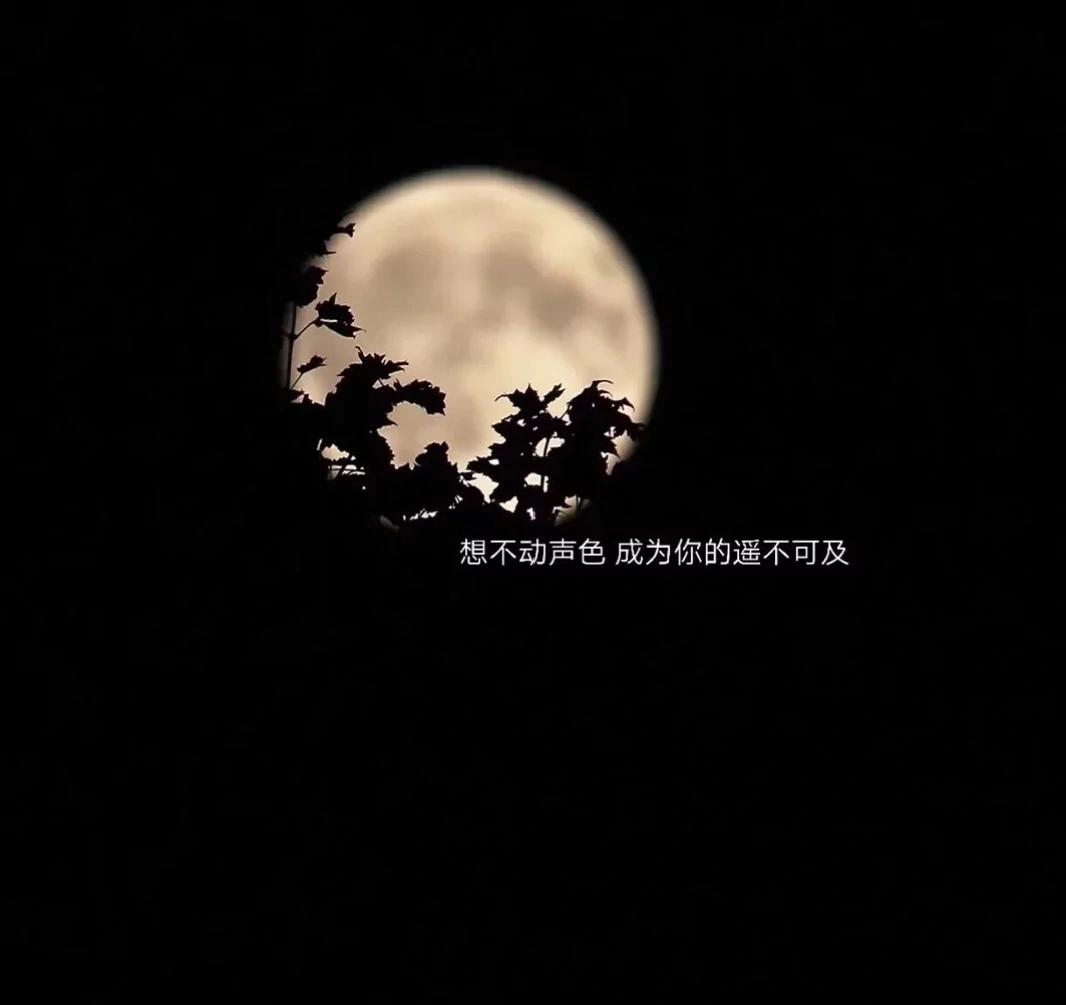 放过你也放过我自己情感语录,放过你也放过我完整版