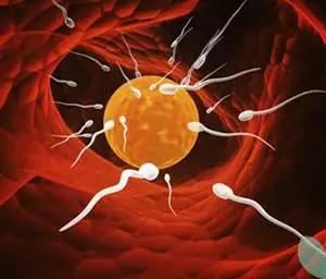 试管促排中为什么要反复抽血？