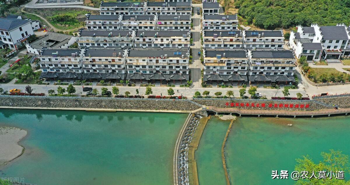 助力乡村振兴搭上快车,抓好乡村振兴机会有什么行业可做