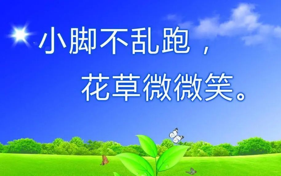 bleach境界四大贵族篇结局,境界bleach回忆篇