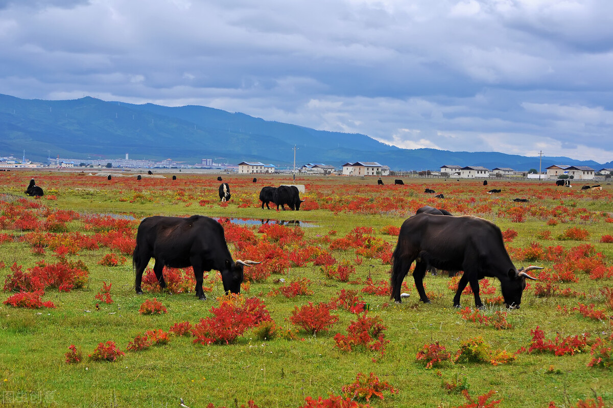带你看遍云南的美景,风景绝美的云南小众目的地