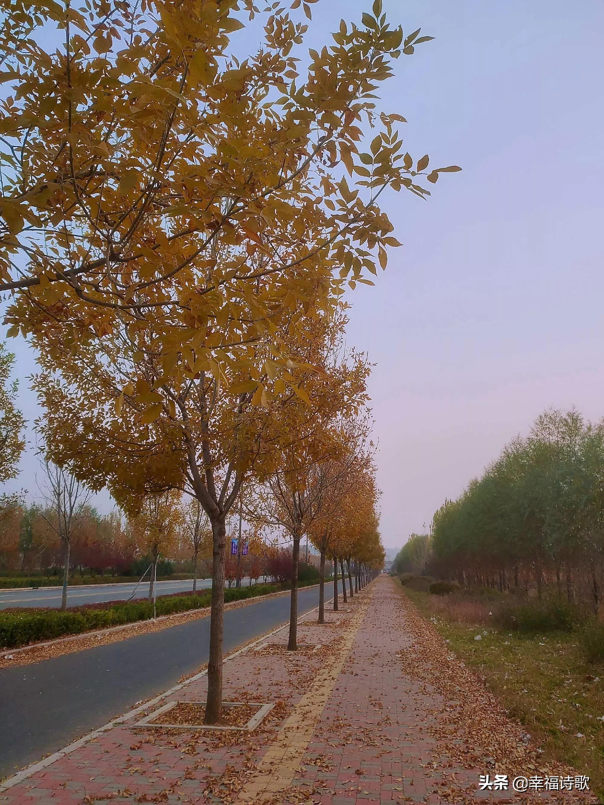 小诗60字,小诗11首完整版