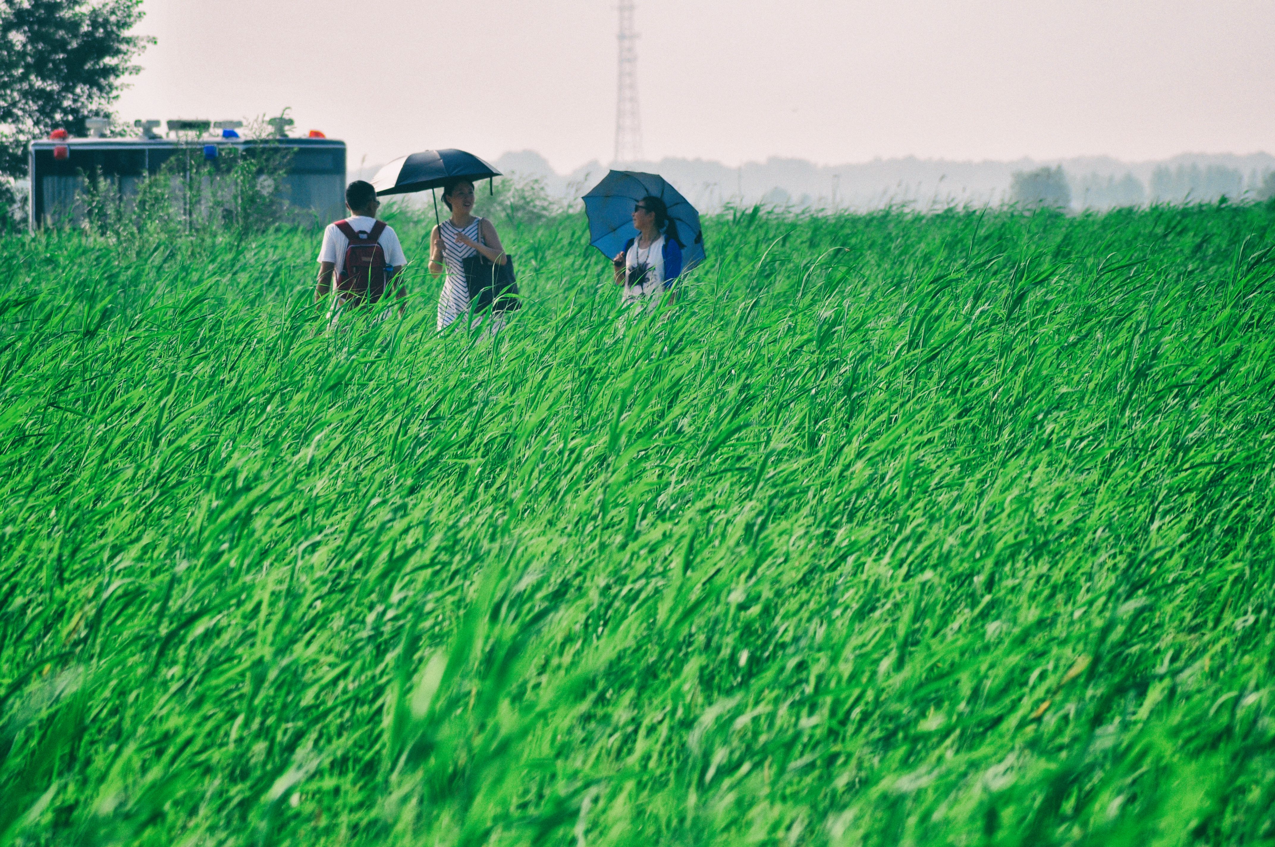 南方人自驾来东北是啥体验,15天一万公里的新疆感受
