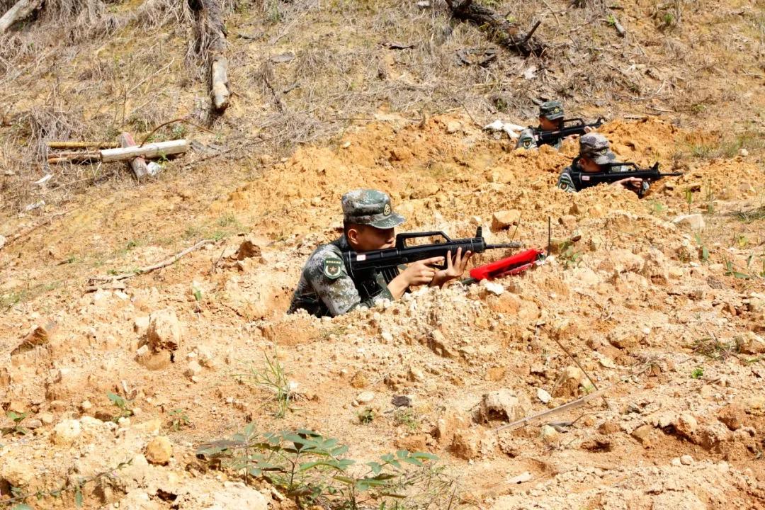 福建省军区民兵演习,战区部队的军事演练