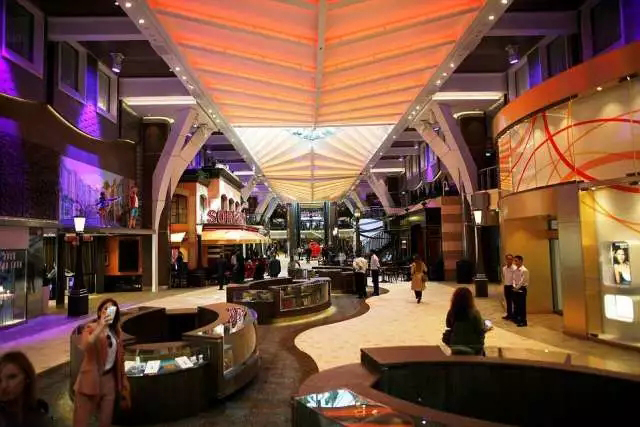 1000000000的邮轮长什么样？游乐场、购物中心样样齐全