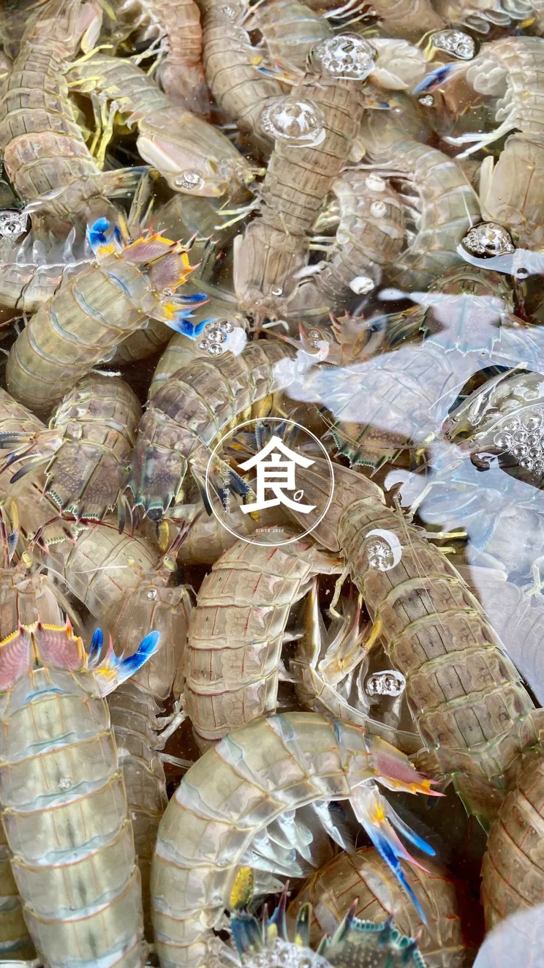 钦州最便宜的海鲜市场,钦州海鲜哪里最便宜