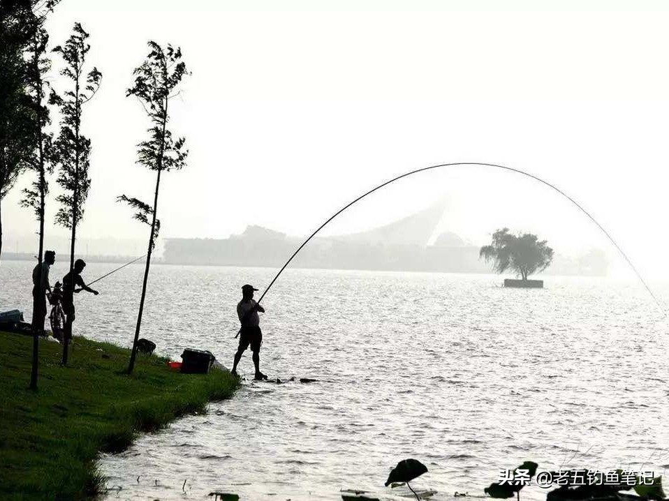 四川禁渔期一杆一线一钩可钓鱼吗,河南禁渔期一杆一线一钩可钓鱼吗