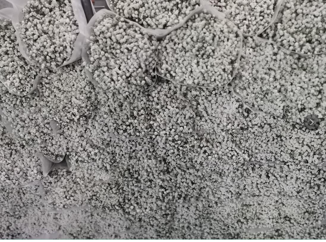 云南斗南花市旅游攻略,昆明地铁五号线到斗南花市