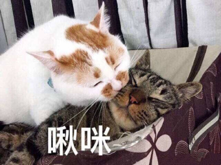 皮一下发朋友圈的句子周末,高情商发朋友圈很皮的句子