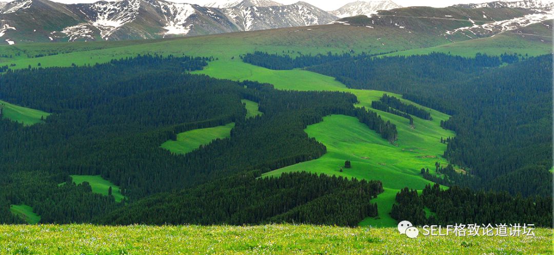 新疆天山世界文化遗产,天山为什么被入选为世界自然遗产