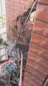 这个手势代表什么意思,中指无名指弯曲这个手势什么意思