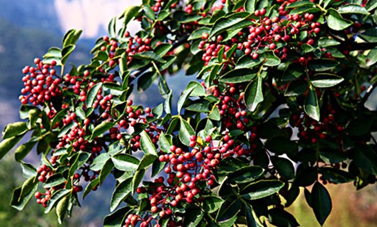 正宗章丘特产手打铁锅,山东章丘特产有哪些