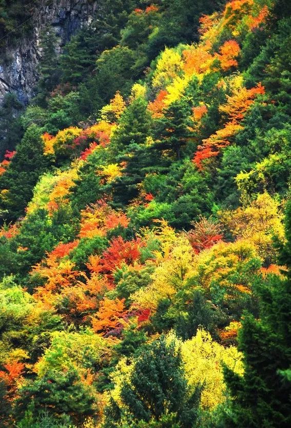 四川一条路途经全是石头的山,四川红叶一日游攻略