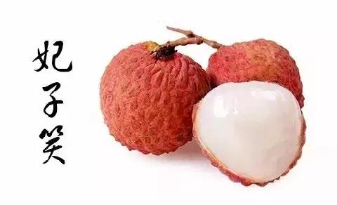 杨贵妃妃子笑荔枝,一骑红尘妃子笑杨贵妃喜欢荔枝吗