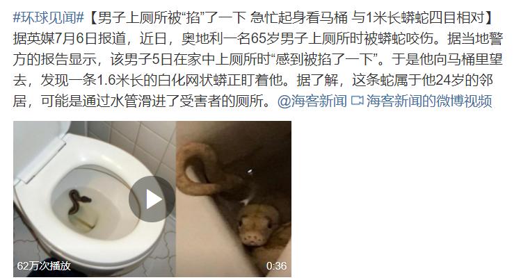 1.6米！男子上厕所*体下**被蟒蛇咬伤蛇群异常行为，暗示了什么？