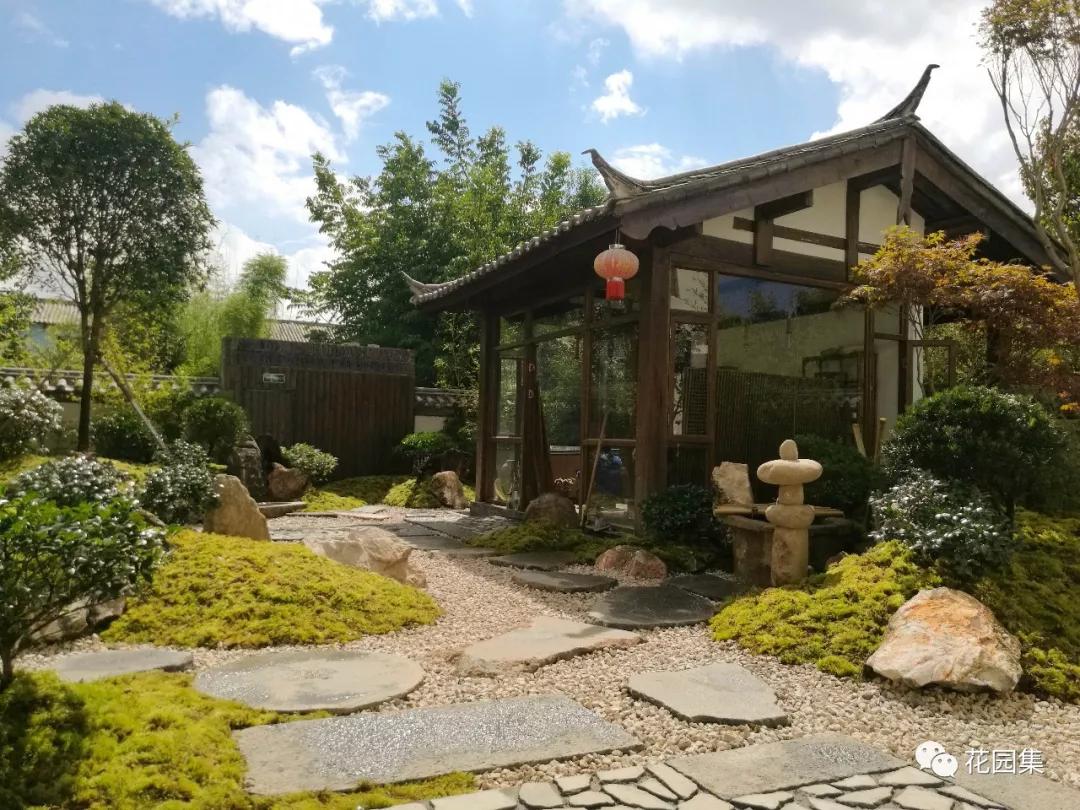 小花园最新改造,改造一个小花园真的太不容易了