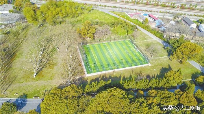 春天动起来,春天动起来这些运动让你更健康