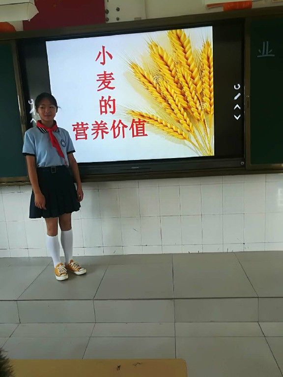 农耕文化研学插秧,农耕文化研学