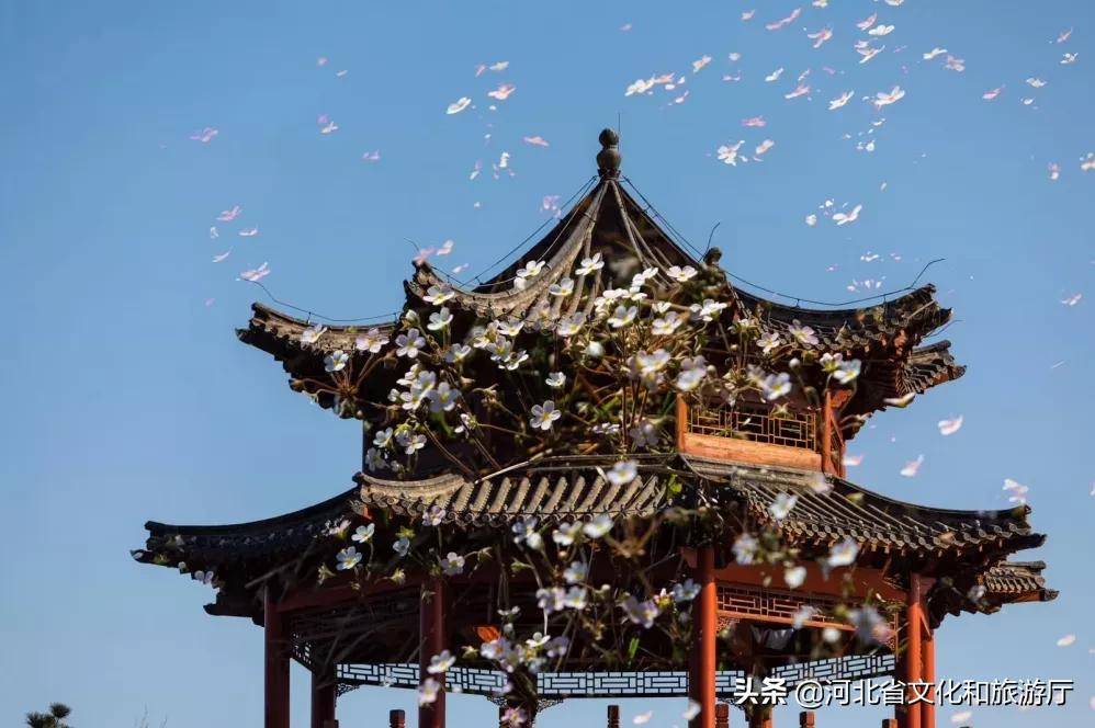 爱家乡游河北发现身边的美|披着初夏的清风，踏着热闹的浪，在五月的秦皇岛玩出新花样~