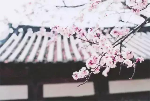 诗词经典绝美古文,50篇绝美小古文