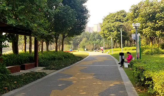 空港运动公园绿道,空港城市绿道骑行