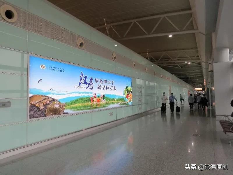 汉寿哪里的甲鱼最好吃,汉寿甲鱼甲天下介绍